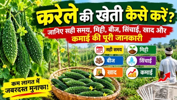 करेले की खेती कैसे करें (How to cultivate bitter gourd)?